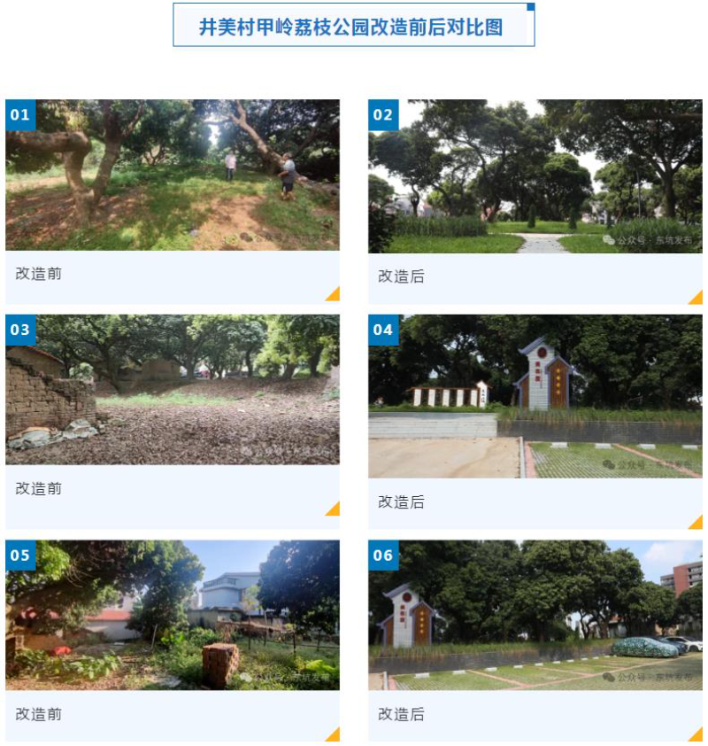 已编辑图片